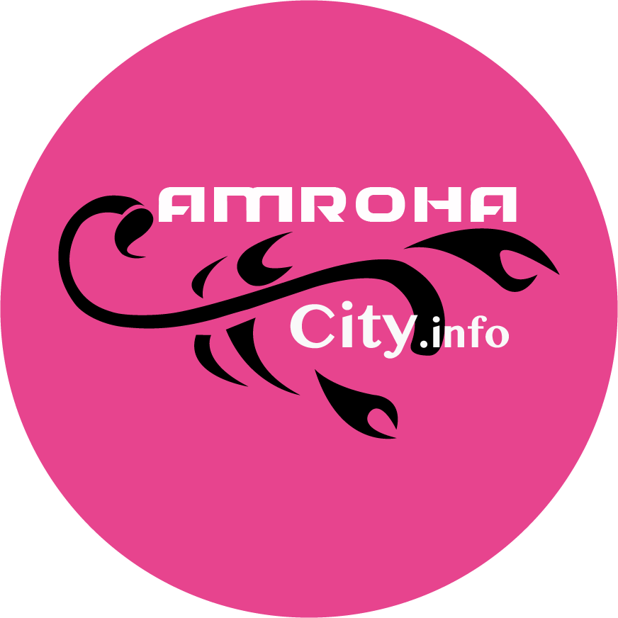 Amroha City